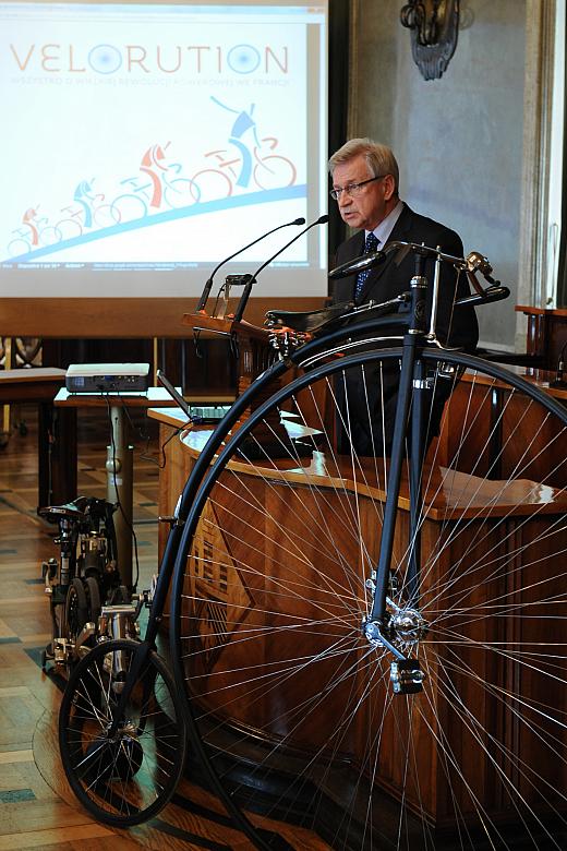 Kopia DSC_9581 kopia.jpg