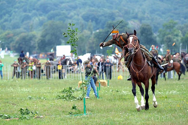 Rąbanie łozy to podstawowe ćwiczenie kawalerzysty.