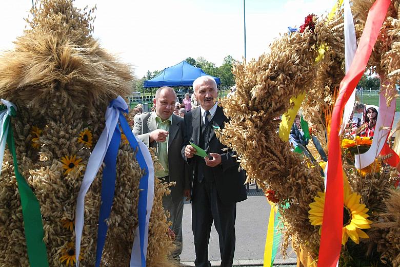 ...aby wybrać ten najpiękniejszy!