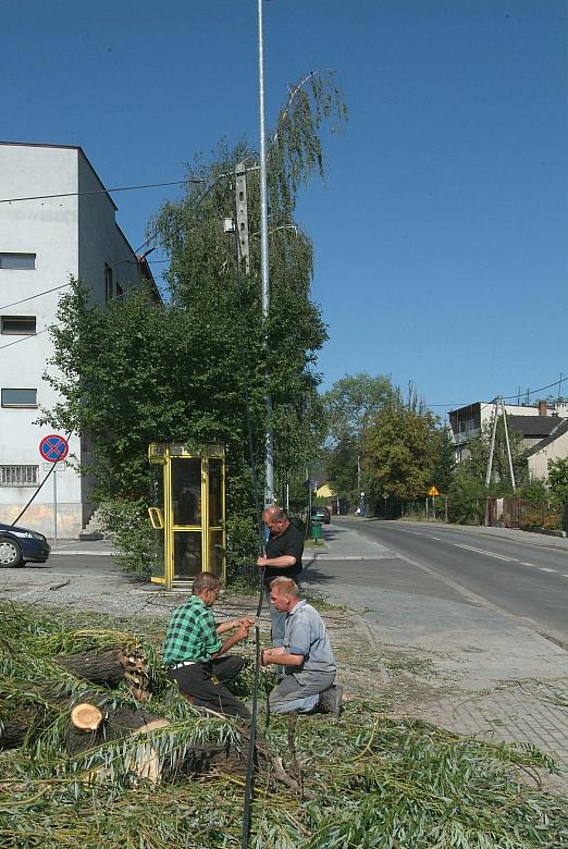Drzewa przewracały się na peryferyjnych ulicach...