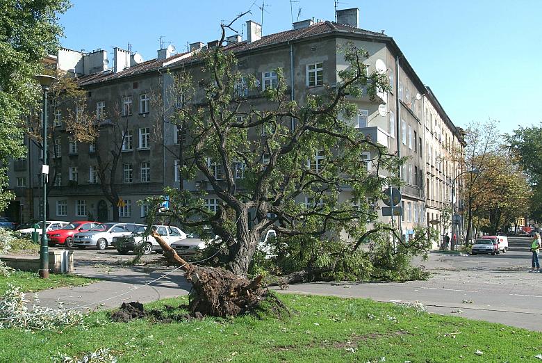 ...i w centrum miasta, jak to przy ulicy Koletek.