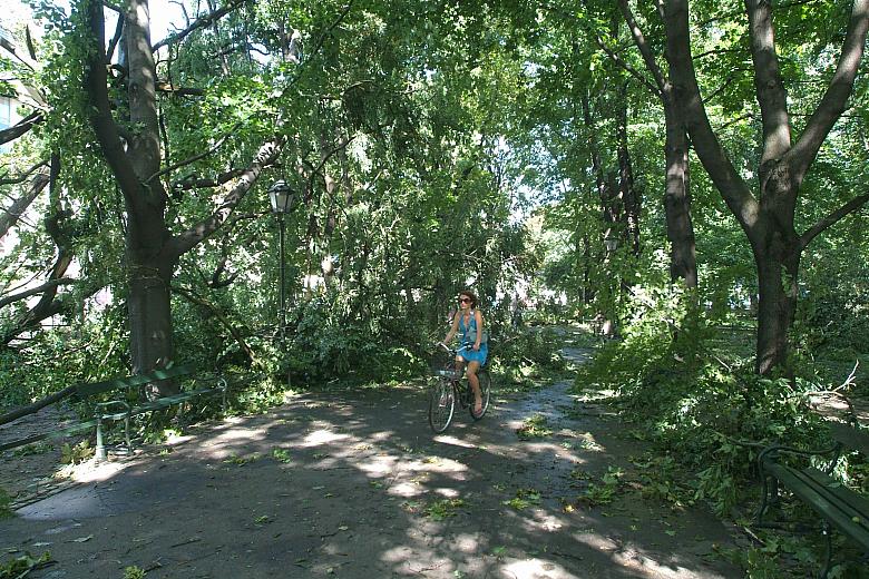 Alejki na Plantach zabarykadowały zerwane gałęzie. 