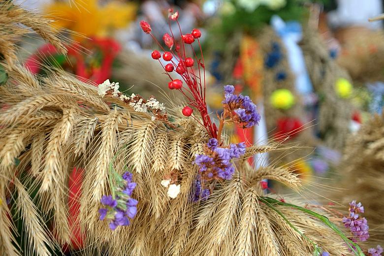Okazałe tegoroczne zbiory zdobiły wszystkie dożynkowe wieńce.