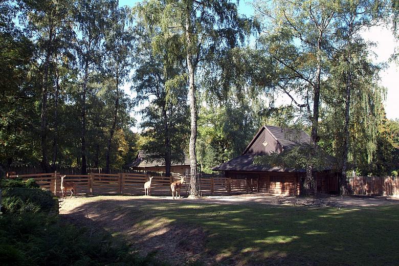Krakowskie ZOO stwarza zwierzętom dobre, jak najbardziej zbliżone do naturalnych, warunki bytowania.