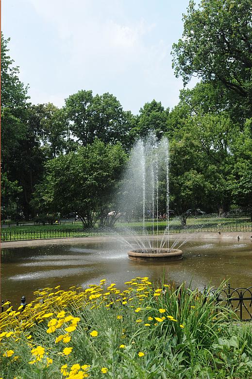 Odcinek Plant położony pomiędzy wylotami ulic Sławkowskiej i Floriańskiej zachował najwięcej dziewiętnastowiecznego uroku.