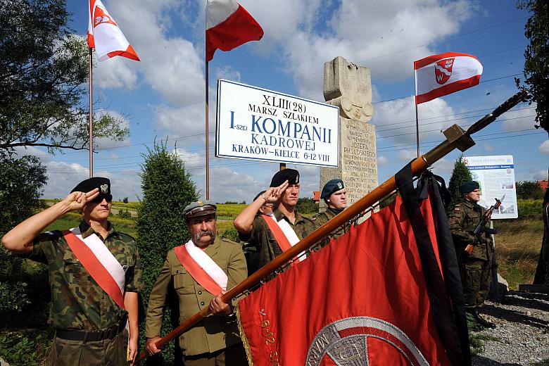 ... wiele organizacji.