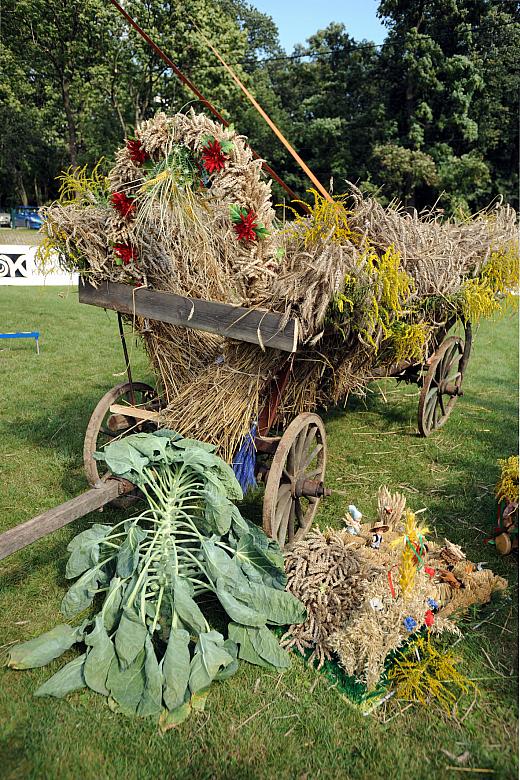 ... jednak przede wszystkim jest symbolem końca żniwnego trudu, wspomnieniem czasów kos i drabiniastych wozów.