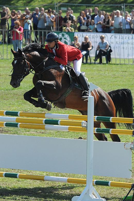 Krakowianie i przybyli na zawody goście mogli podziwiać prawdziwych mistrzów.