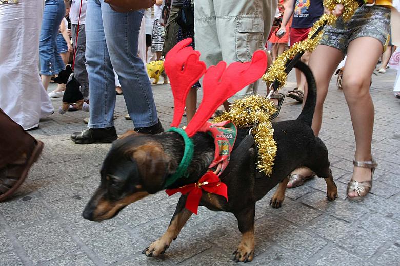 Pomysłowość pań i panów była ogromna.