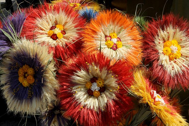 Z kłosów zbóż, z traw, z nieśmiertelników i lnu można wyczarować rzeczy niezwykłe.