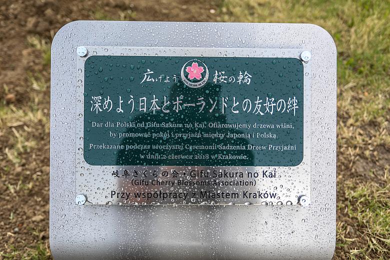 BS KR PL 20180602 IMGL3788