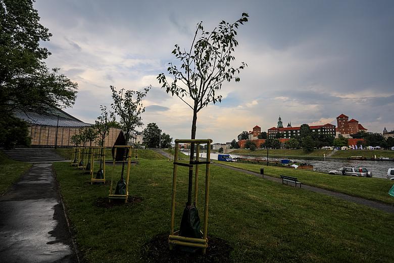 BS KR PL 20180602 IMGL3802