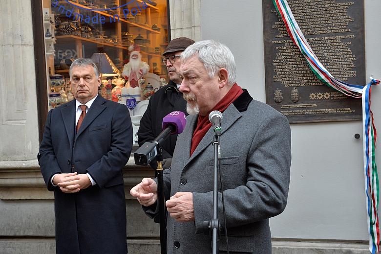  DSC7145 kopia - Kopia