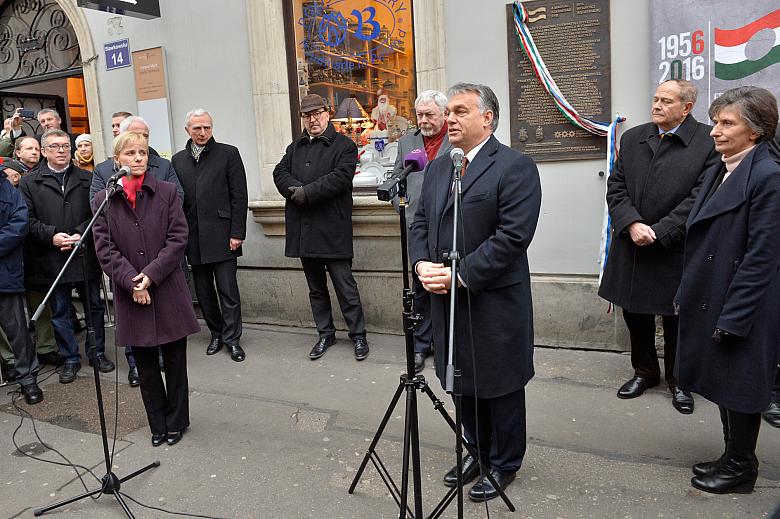  DSC7161 kopia - Kopia
