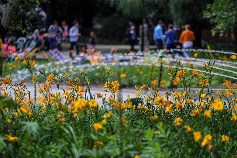 BS KR PL 20180715 IMG 8690