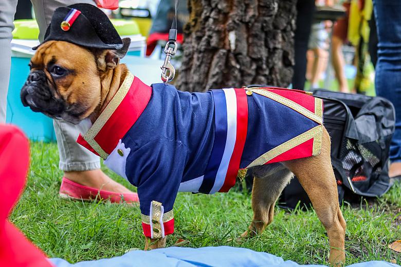 BS KR PL 20180715 IMG 8854