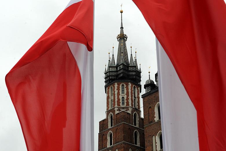 DSC 8088 kopia - Kopia