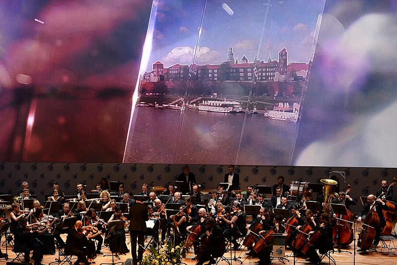 DSC 6882 kopia - Kopia