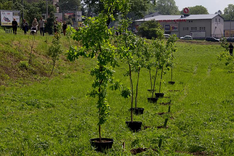 BS KR PL 20170527 IMG 8967