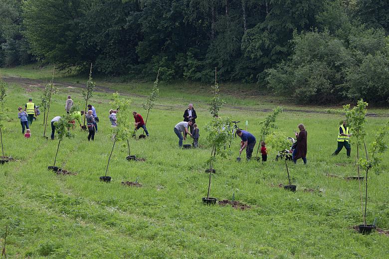 BS KR PL 20170527 IMG 9075