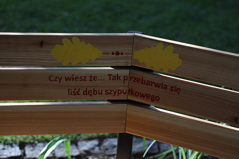 20181006154240 IMG 6858