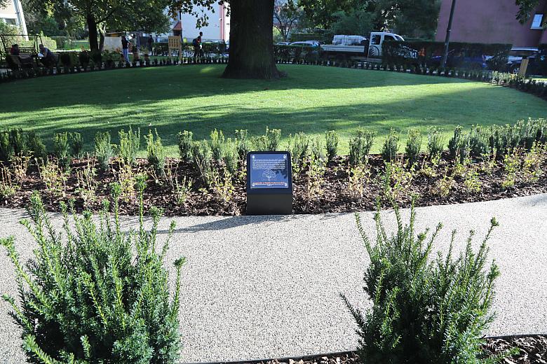 20181006155138 IMG 6866