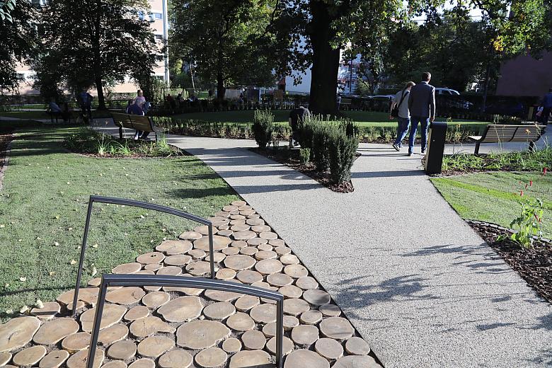 20181006155200 IMG 6868