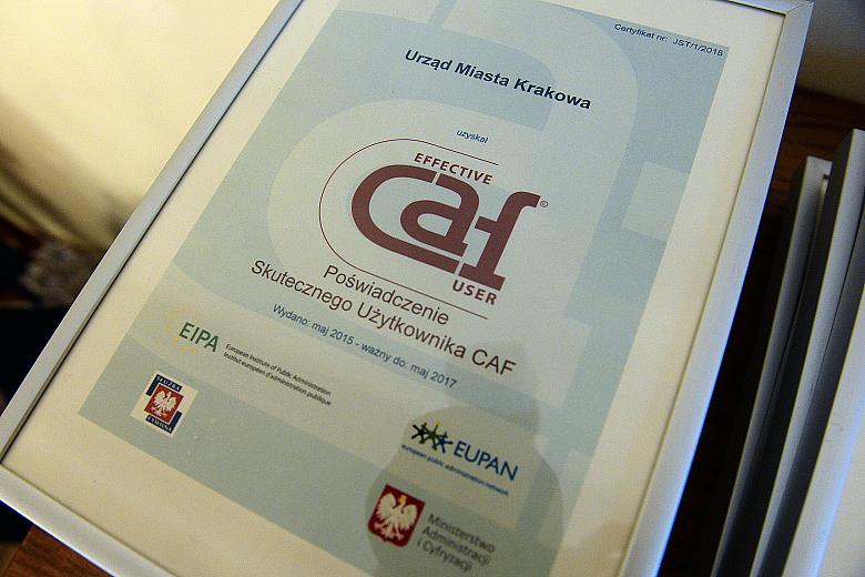 DSC 3124 kopia kopia