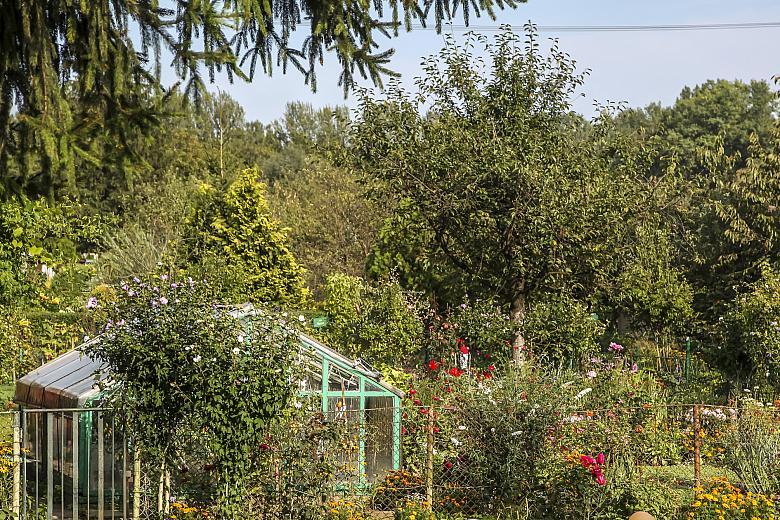 BS KR PL 20170909 IMG 3270