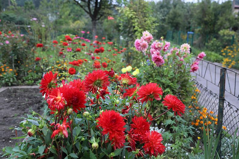 BS-08 września 2018-IMG 4345