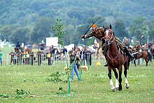 Rąbanie łozy to podstawowe ćwiczenie kawalerzysty.
