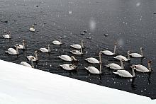 ...przez prawie wszystkich...