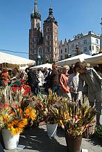 ...w przepięknej scenerii krakowskiego Rynku.