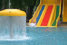 ...czy też "grzybek wodny".