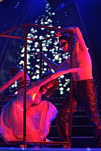 W spektaklu wzięły udział - oprócz Baletu Dworskiego Cracovia Danza - Zespół "Krakowiacy", Zespól "Nowa Huta