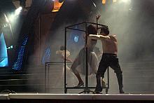 , a także zespoły "Beani Cracovienses" oraz "Krasz".