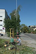 Drzewa przewracały się na peryferyjnych ulicach...