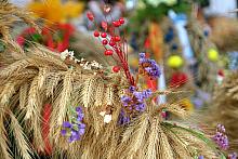 Okazałe tegoroczne zbiory zdobiły wszystkie dożynkowe wieńce.