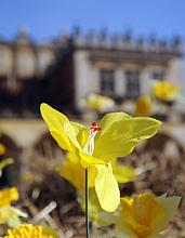 Targi wielkanocne to wielkie wtargnięcie wiosny na krakowski Rynek Główny.