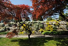 Ogród Botaniczny Uniwersytetu Jagiellońskiego