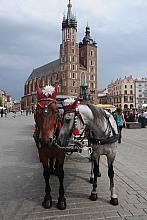 Krakowskie dorożkarstwo odrodziło się w wieku XXI. Zaprzęgów jest dużo i są zadbane, choć miłośnicy przeszłości trochę narzekają