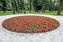 BS KRPL 20180602 IMGL3567