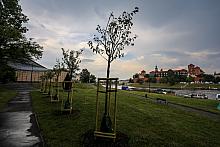 BS KR PL 20180602 IMGL3802