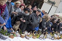 BS KR PL 20170415 IMG 7065