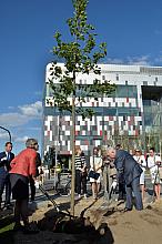 Inauguracja Alei Kongresowej, podczas której nasadzone zostało pierwsze z drzew