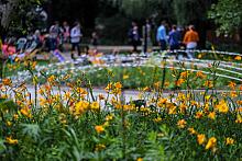 BS KR PL 20180715 IMG 8690