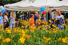 BS KR PL 20180715 IMG 8991