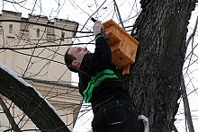 Akcja walentynkowego budowania budek dla ptaków