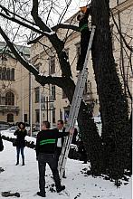 DSC 8128 kopia kopia