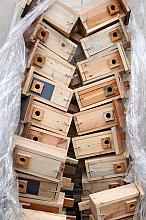 MPO S.A. w Krakowie wraz z Asocjacją Promotorów Radosnego Ptaka z okazji Walentynek rozdało ponad 1000 ekologicznych budek